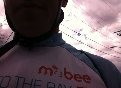 Le Tour de Dunkin' by Brett our Featured Bee